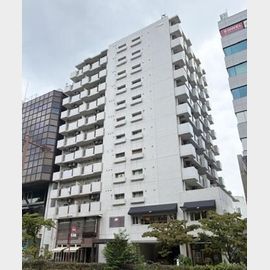 二子玉川駅より徒歩2分 11階 築42年6ヶ月の賃貸物件