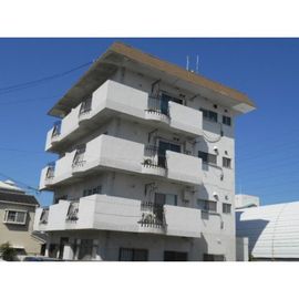 グリーンヒル清水が丘 3階 築52年7ヶ月の賃貸物件