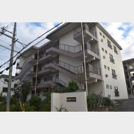 山の街駅より徒歩3分 2階 築56年4ヶ月の賃貸物件