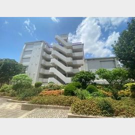 住吉駅より徒歩15分 3階 築37年の賃貸物件