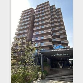 兵庫駅より徒歩7分 6階 築33年4ヶ月の賃貸物件