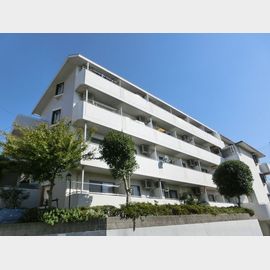 朝霧駅より徒歩49分 3階 築37年5ヶ月の賃貸物件