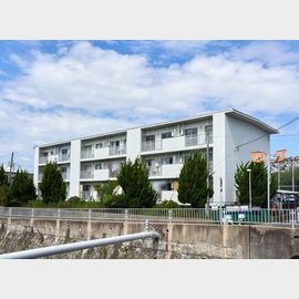 垂水農住3号棟 3階 築51年6ヶ月の賃貸物件