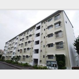 名谷六団地三一号棟の賃貸物件