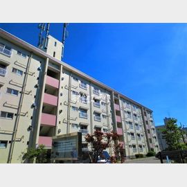 住吉駅より徒歩36分 築55年3ヶ月 5階建の賃貸物件