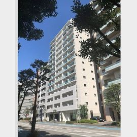 エルイソベ三宮 3階 築11年1ヶ月の賃貸物件