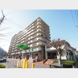 ディオ・フェルティ学園都市ドルミハイツ垂水A棟 11階 築43年3ヶ月の賃貸物件