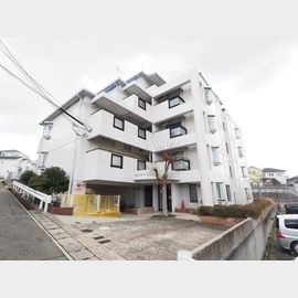 メゾンピアYUKYU 1階 築36年9ヶ月の賃貸物件