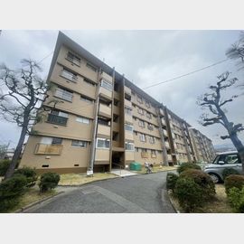 県公社東仁川団地１号棟 4階 築57年7ヶ月の賃貸物件