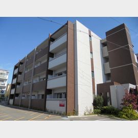 マ メゾン金楽寺 3階 築15年3ヶ月の賃貸物件