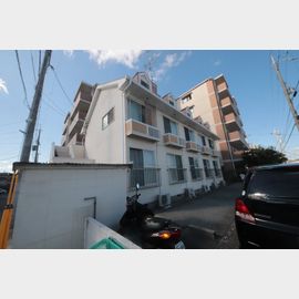 ステラパレス 1階 築32年4ヶ月の賃貸物件