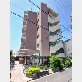 河内小阪駅より徒歩14分 6階 築18年3ヶ月の賃貸物件