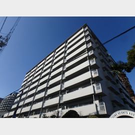 コスモハイツ小阪 5階 築46年2ヶ月の賃貸物件