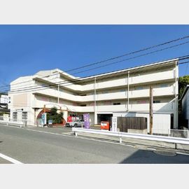 桜並木駅より徒歩28分 3階 築38年10ヶ月の賃貸物件