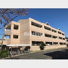 ジョイコートの賃貸物件