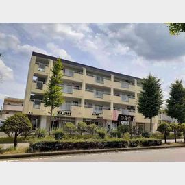 紫峰 4階 築35年1ヶ月の賃貸物件