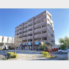 万博記念公園駅より徒歩1分 5階 築20年1ヶ月の賃貸物件