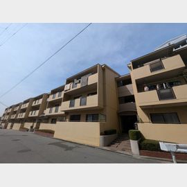 ピアチェーレ２ 2階 築41年8ヶ月の賃貸物件