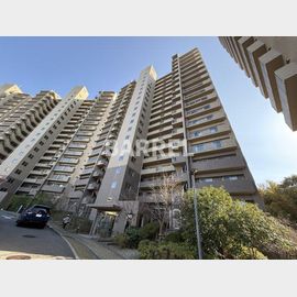 新千里桜ヶ丘メゾンシティ弐番館 11階 築20年8ヶ月の賃貸物件