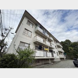 長興寺マンション 3階 築53年1ヶ月の賃貸物件