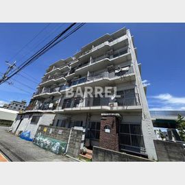 柴原阪大前駅より徒歩5分 2階 築49年9ヶ月の賃貸物件