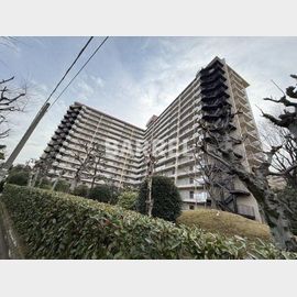 山田駅より徒歩5分 7階 築52年の賃貸物件