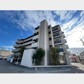 曽根駅より徒歩9分 5階 築31年3ヶ月の賃貸物件