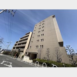 桃山台ヒルズ 7階 築15年2ヶ月の賃貸物件