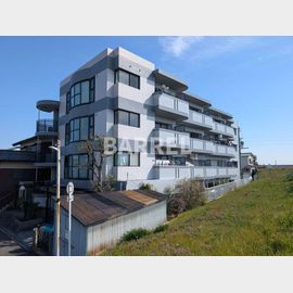 シルクパレス 4階 築37年11ヶ月の賃貸物件