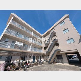 メゾン加茂 2階 築53年1ヶ月の賃貸物件