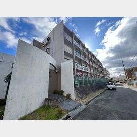 プリムベール向丘の賃貸物件