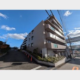 柴原阪大前駅より徒歩2分 5階 築53年1ヶ月の賃貸物件