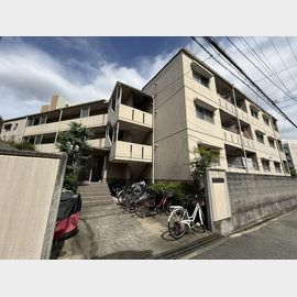 曽根駅より徒歩10分 2階 築41年4ヶ月の賃貸物件