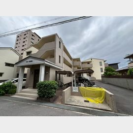 ドミール雲正の賃貸物件