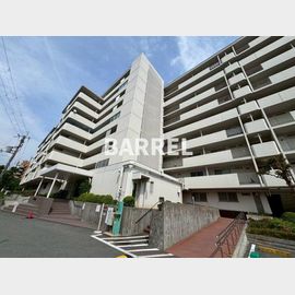柴原阪大前駅より徒歩13分 3階 築49年6ヶ月の賃貸物件