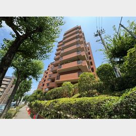ロイヤルフェルティ豊中緑丘の賃貸物件