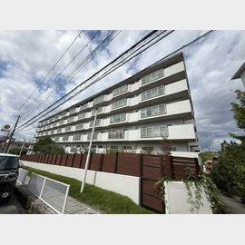 桃山台駅より徒歩10分 5階 築53年5ヶ月の賃貸物件