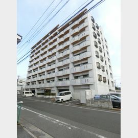 エクセル富士見マンション 8階 築34年2ヶ月の賃貸物件