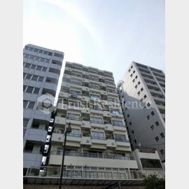 ライオンズマンション亀戸 9階 築45年8ヶ月の賃貸物件