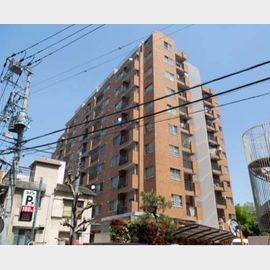 押上駅より徒歩7分 7階 築50年5ヶ月の賃貸物件