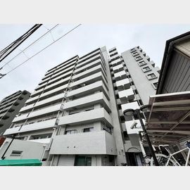 ヴェラハイツ隅田公園 10階 築38年1ヶ月の賃貸物件