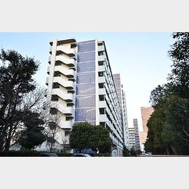 越中島三丁目ハイツ１号棟の賃貸物件