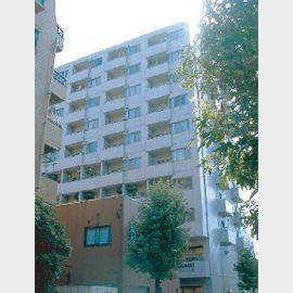 ライツ菊川 7階 築35年の賃貸物件