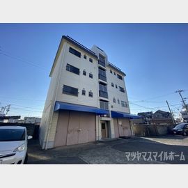 住道駅より徒歩14分 4階 築50年11ヶ月の賃貸物件