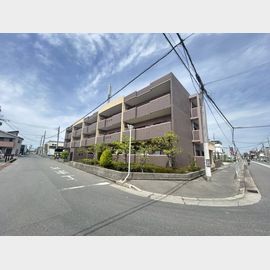コモドの賃貸物件