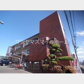 野崎駅より徒歩24分 3階 築42年1ヶ月の賃貸物件