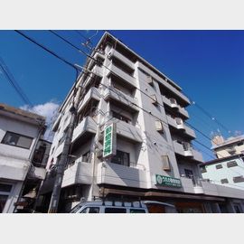 野崎駅より徒歩4分 4階 築37年3ヶ月の賃貸物件