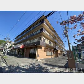 野崎駅より徒歩5分 4階 築47年9ヶ月の賃貸物件