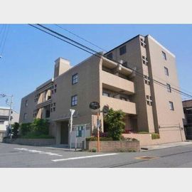 サンティール 3階 築25年5ヶ月の賃貸物件