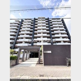 ピカソ平野 8階 築38年2ヶ月の賃貸物件